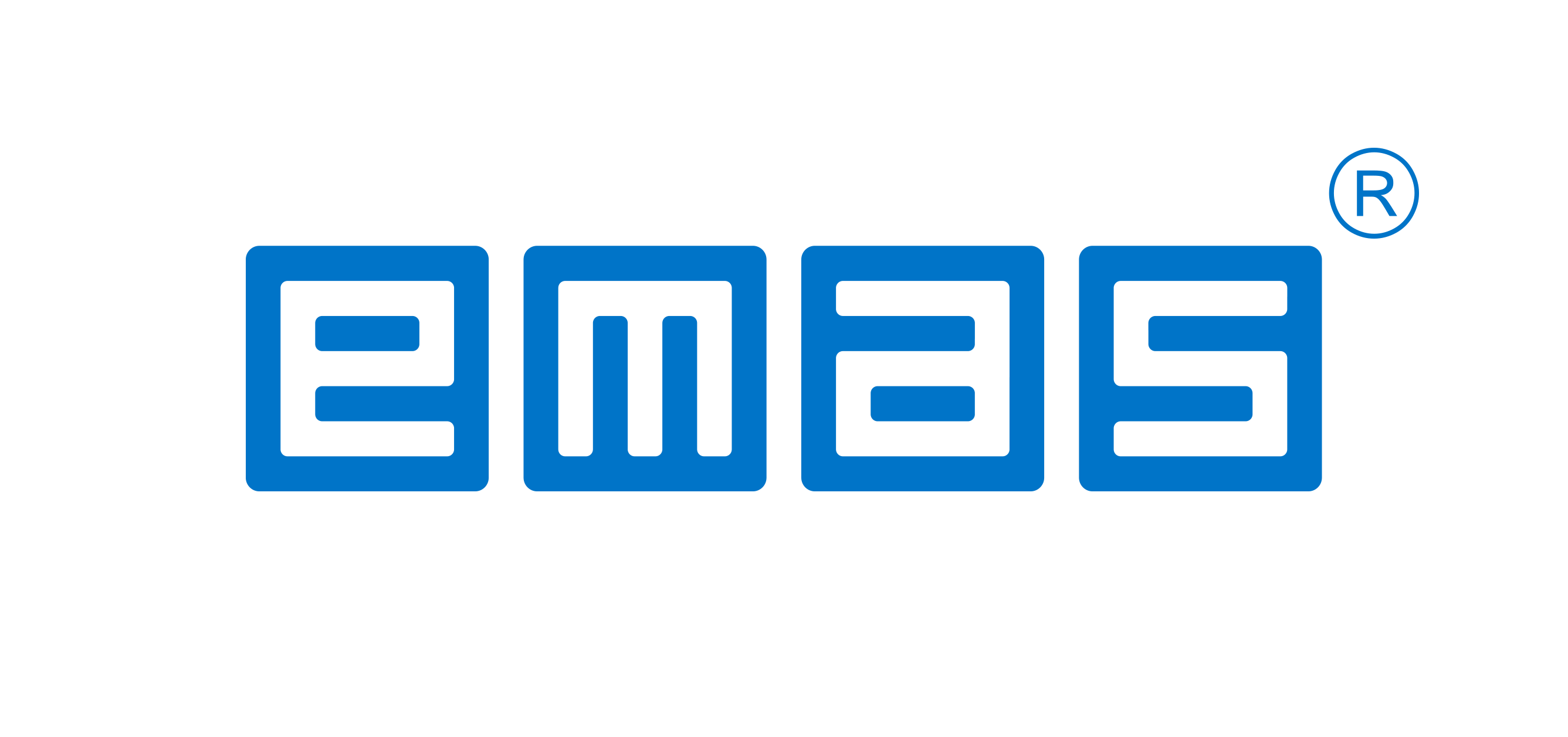 EMAS Electric Ltd